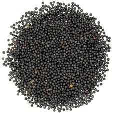 Black Mustard Seeds - Buy Non Edible Seeds,Mustard Seed ...